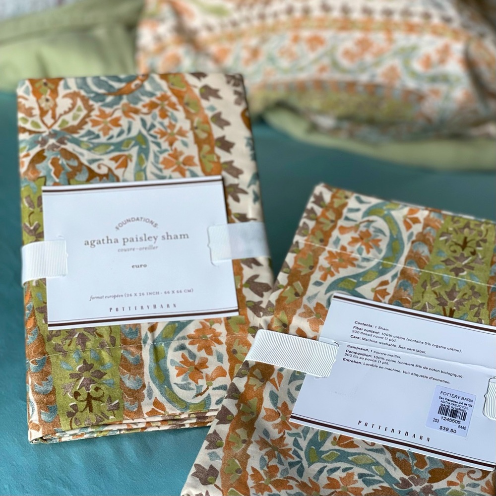 POTTERY BARN -2 100% Cotton Pillow Shams Agatha Paisley Pattern Size:Euro 26x26”